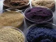 Top Ion Exchange Resin Manufacturer in Gujarat